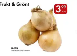 Snabbgross Gul lök erbjuda