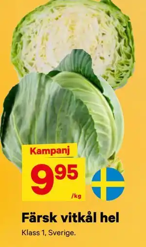 Färsk vitkål hel