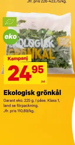 City Gross Ekologisk grönkål erbjuda