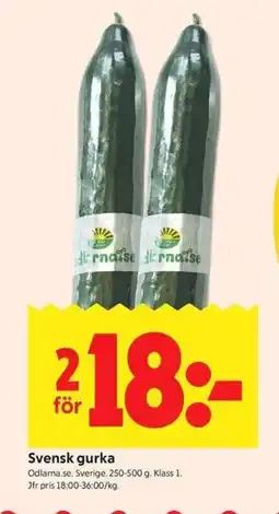 ICA Kvantum Svensk gurka erbjuda