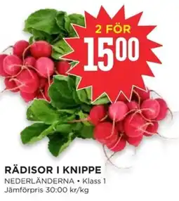 Willys Rädisor i knippe erbjuda