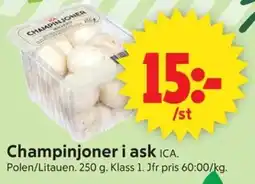 ICA Supermarket ICA Champinjoner i ask erbjuda