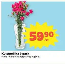 Coop Kvistnejlika 7-pack erbjuda