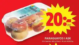ICA Maxi ICA Paraguayos i ask erbjuda
