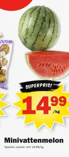Pekås Minivattenmelon erbjuda