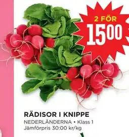Willys Hemma RÄDISOR I KNIPPE erbjuda