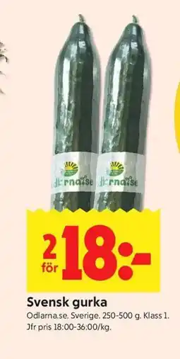 ICA Kvantum Svensk gurka erbjuda