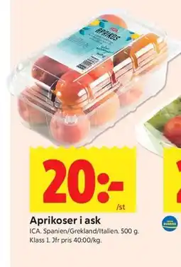 ICA Kvantum Aprikoser i ask erbjuda