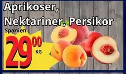Supergrossen Aprikoser, Nektariner, Persikor erbjuda