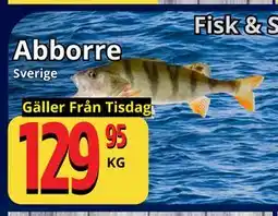 Supergrossen Abborre erbjuda