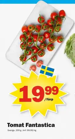 Pekås Tomat Fantastica erbjuda