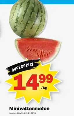 Pekås Minivattenmelon erbjuda