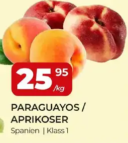 Matrix Butikerna Paraguayos / aprikoser erbjuda