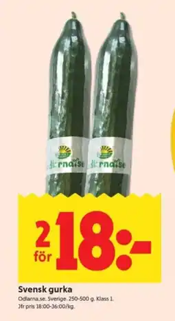 ICA Supermarket Svensk gurka erbjuda