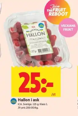 ICA Supermarket Hallon i ask erbjuda