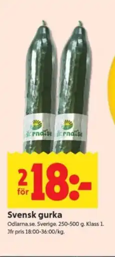 ICA Supermarket Svensk gurka erbjuda