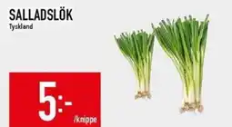 Matdax Salladslök erbjuda