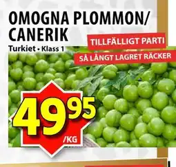 Matvärlden Tensta OMOGNA PLOMMON/ CANERIK erbjuda
