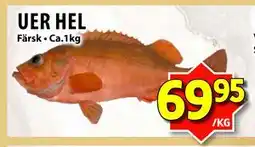 Matvärlden Tensta UER HEL erbjuda