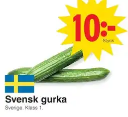 Matöppet Svensk gurka erbjuda
