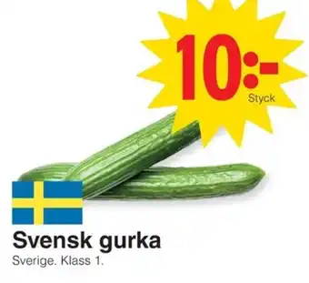 Matöppet Svensk gurka erbjuda