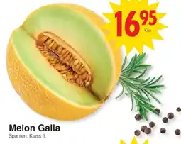 Matöppet Melon Galia erbjuda