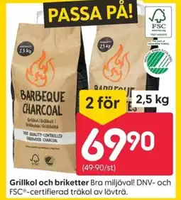 Rusta Grillkol och briketter erbjuda