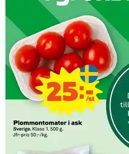Stora Coop Plommontomater i ask erbjuda