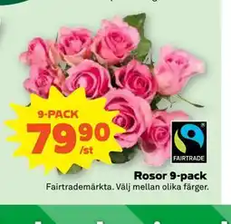 Stora Coop Rosor 9-pack erbjuda