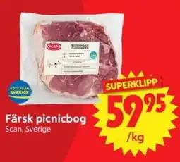 Nya Pulsen Färsk picnicbog erbjuda