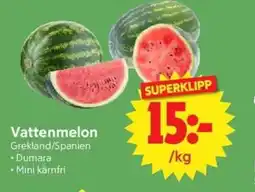 Nya Pulsen Vattenmelon erbjuda
