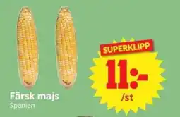 Nya Pulsen Färsk majs erbjuda