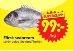 Nya Pulsen Färsk seabream erbjuda