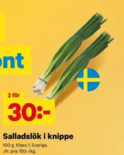 City Gross Salladslök i knippe erbjuda