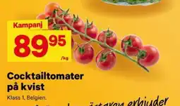 City Gross Cocktailtomater på kvist erbjuda