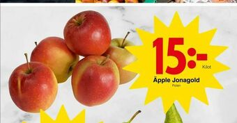 Matöppet Äpple Jonagold erbjuda