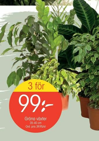 EKO Gröna växter erbjuda