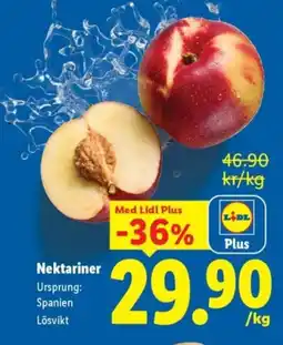 Lidl Nektariner erbjuda
