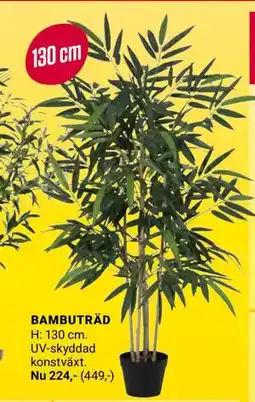 ÖoB BAMBUTRÄD erbjuda