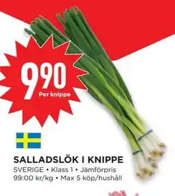 Willys SALLADSLÖK I KNIPPE erbjuda