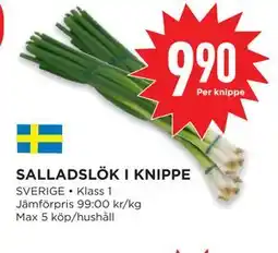 Willys Hemma SALLADSLÖK I KNIPPE erbjuda