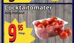 Supergrossen Cocktaitomater erbjuda