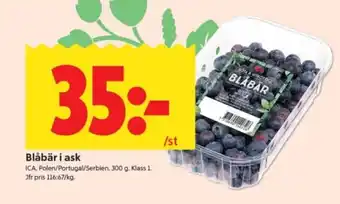 ICA Supermarket Blåbär i ask erbjuda
