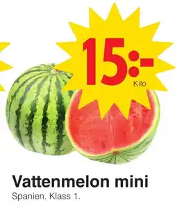 Matöppet Vattenmelon mini erbjuda
