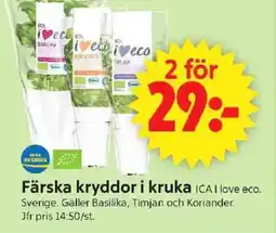 ICA Supermarket Färska kryddor i kruka ICAI erbjuda