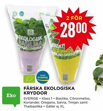 Willys Färska ekologiska kryddor erbjuda