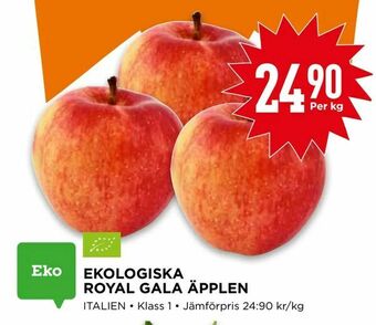 Willys Ekologiska royal gala äpplen erbjuda