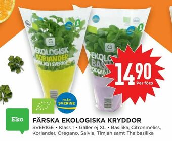 Willys Hemma Färska ekologiska kryddor erbjuda