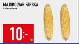 Matdax Majskolvar färska erbjuda