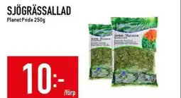 Matdax Sjögrässallad erbjuda